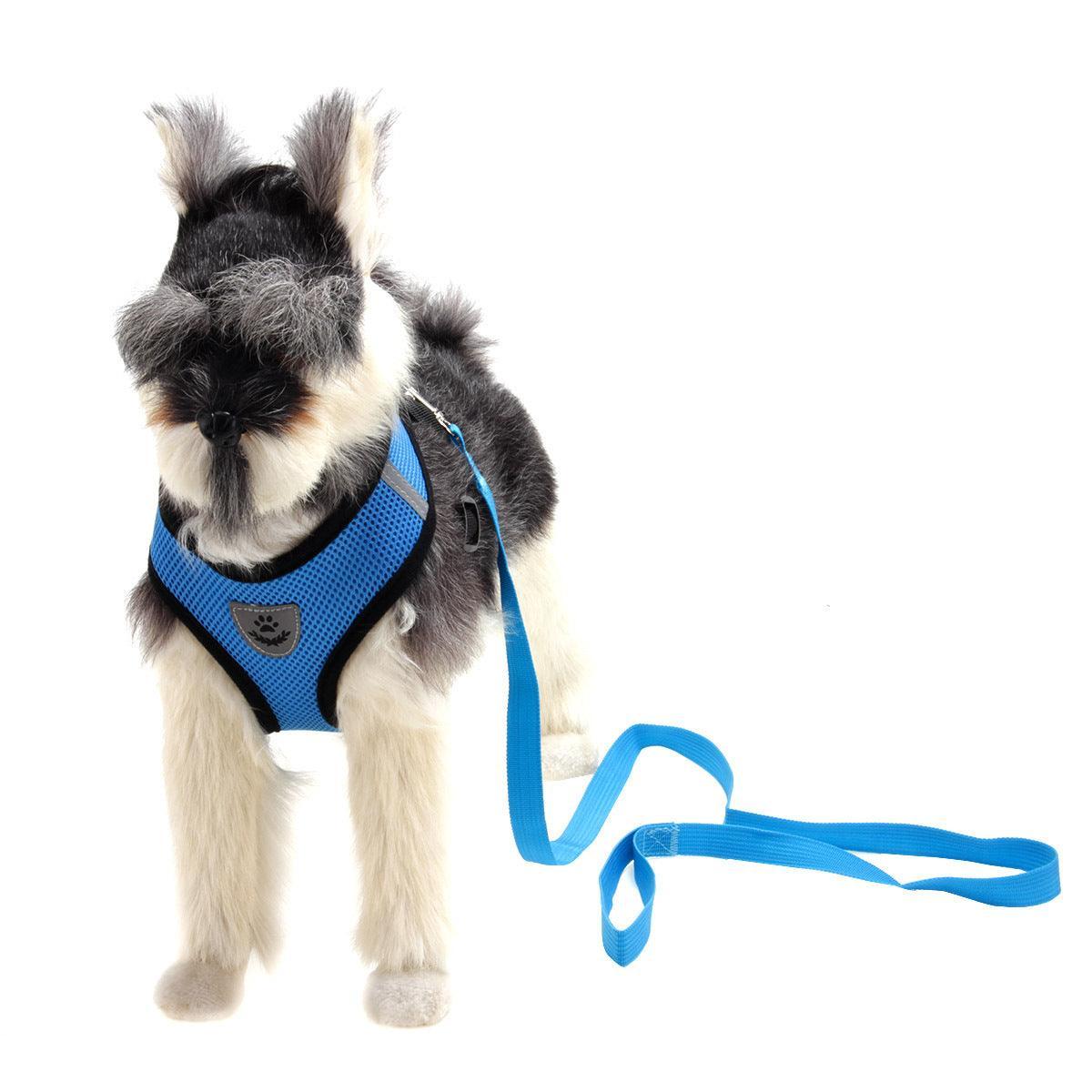 Airmesh Pro Dog Harness-2
