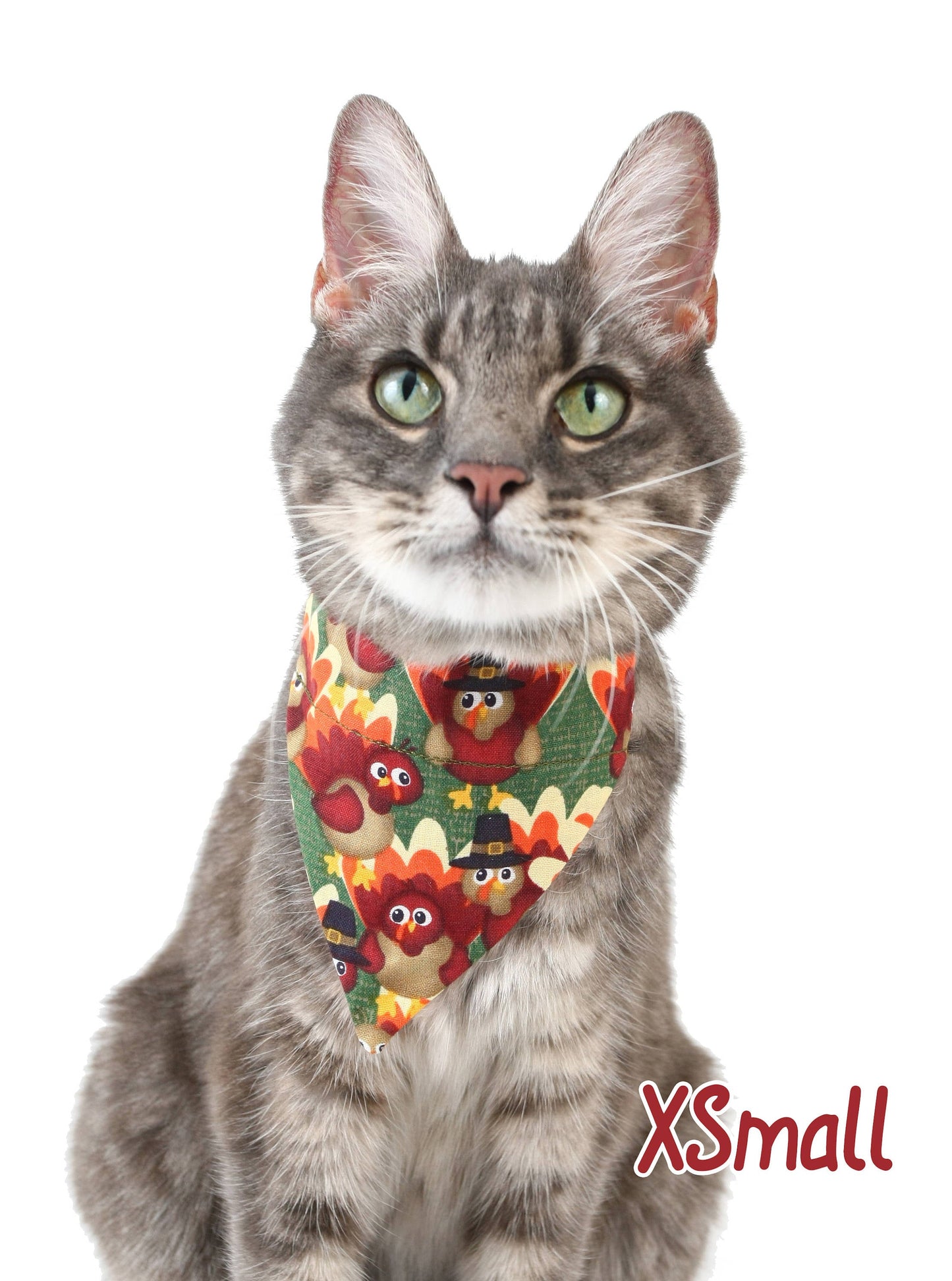 Pilgrim Turkeys on Green Pet Scarf